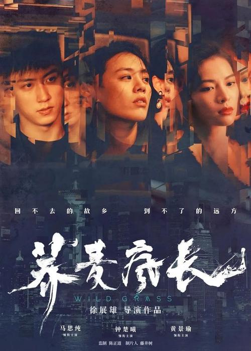 哪里能买到利比亚驾驶证